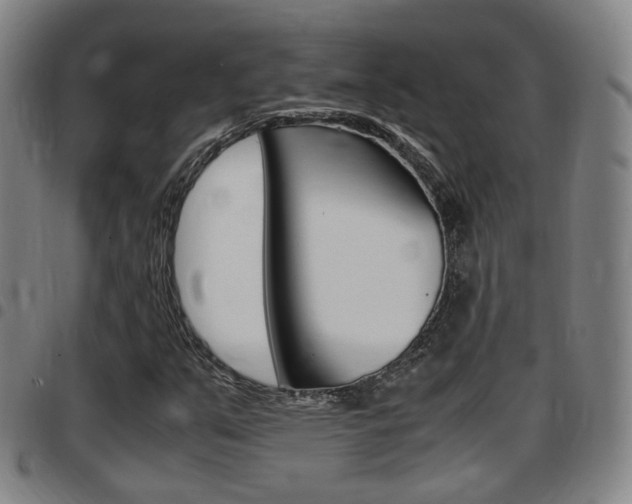 X0000097881351200803140933