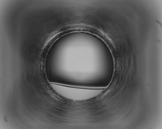 X0000097881352200803140933