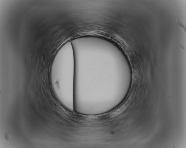 X0000097881353200803140933