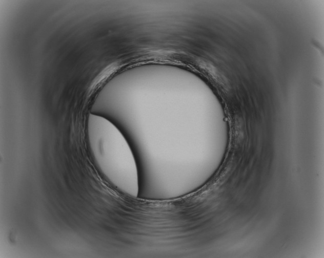 X0000097881354200803140933
