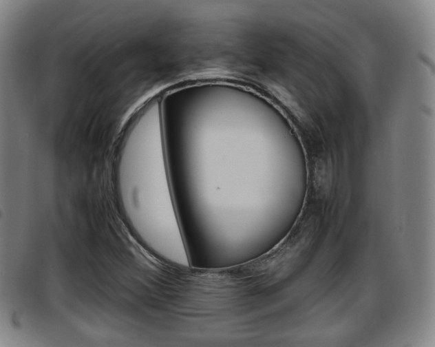 X0000097881356200803140933