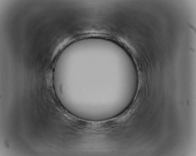 X0000097881357200803140933