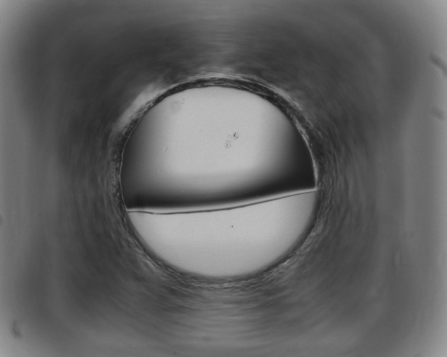X0000097881359200803140933