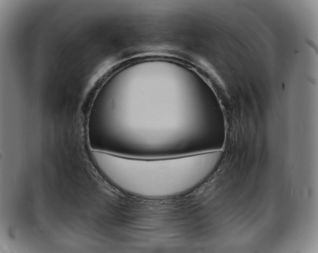 X0000097881360200803140933