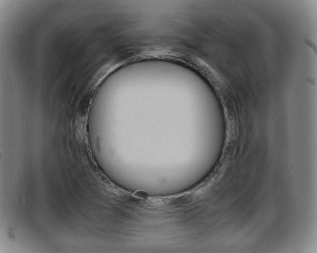 X0000097881361200803140933
