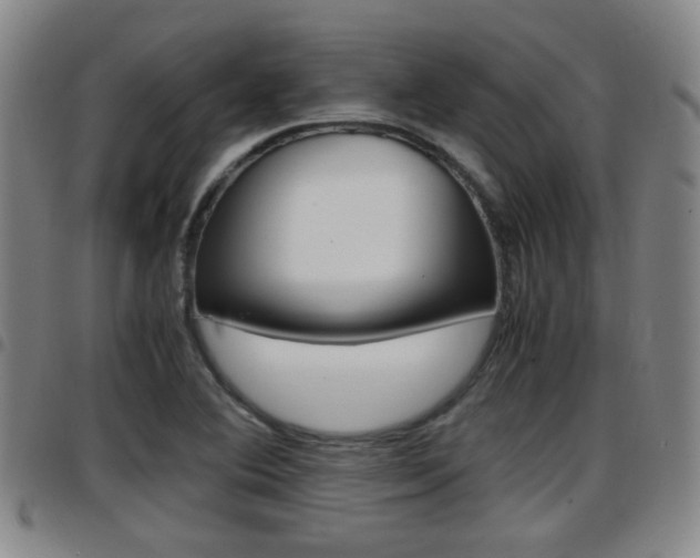 X0000097881364200803140933