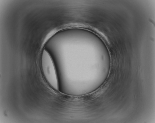 X0000097881365200803140933