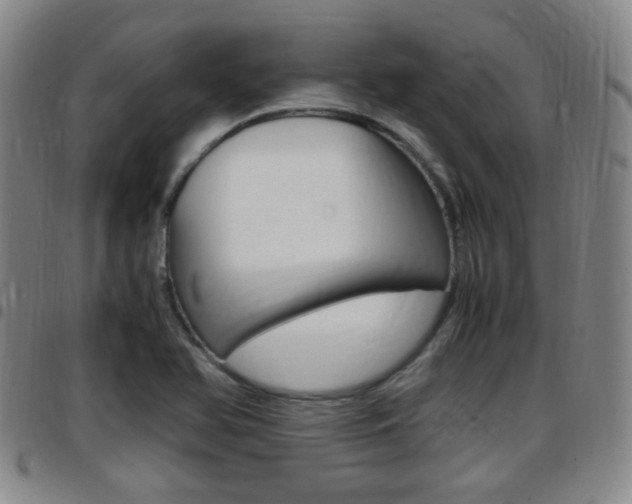 X0000097881366200803140933