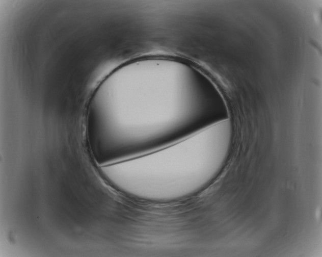 X0000097881367200803140933