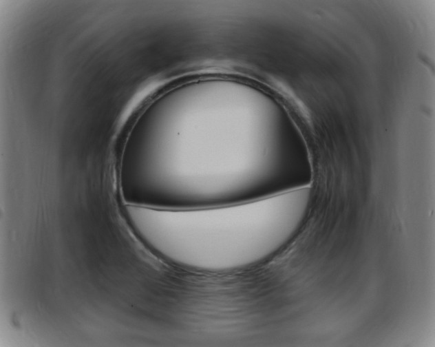 X0000097881368200803140933