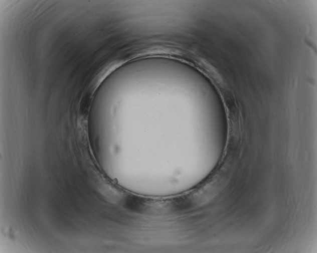 X0000097881369200803140932