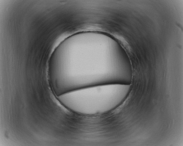 X0000097881374200803140932