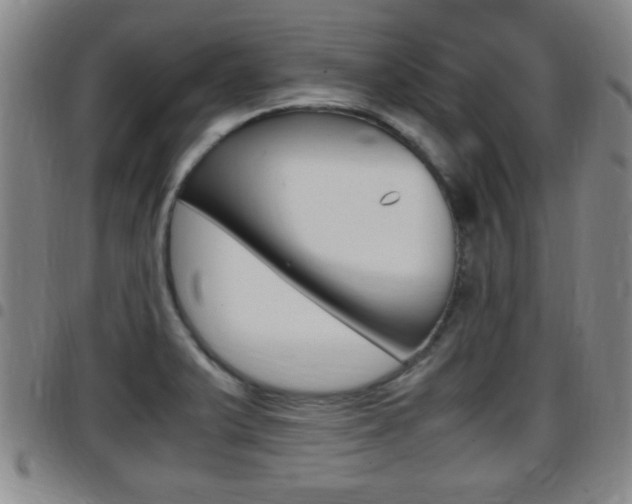X0000097881375200803140932