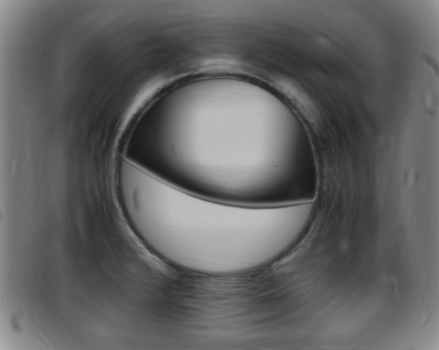 X0000097881376200803140932