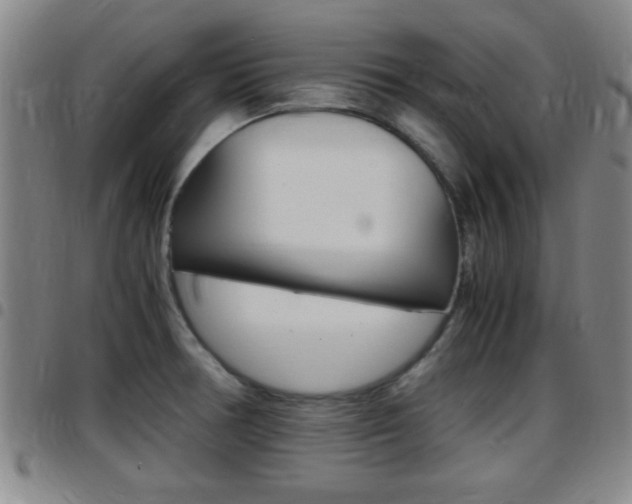 X0000097881378200803140932