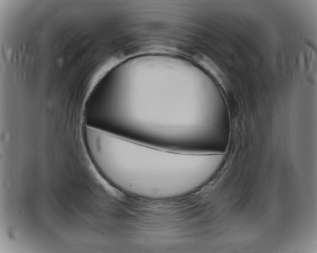 X0000097881379200803140932