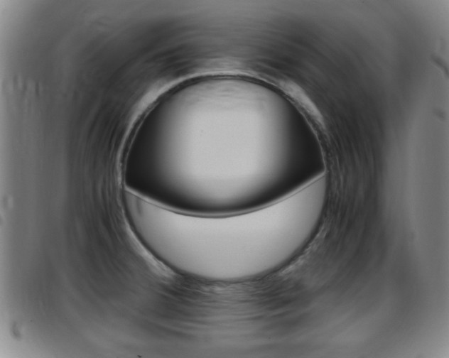 X0000097881380200803140932