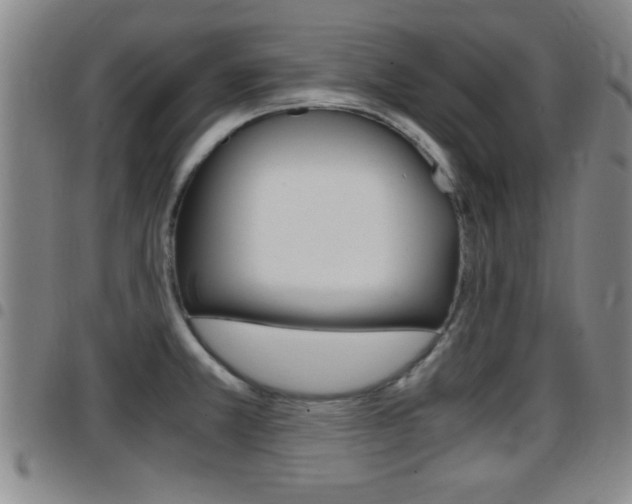 X0000097881381200803140932