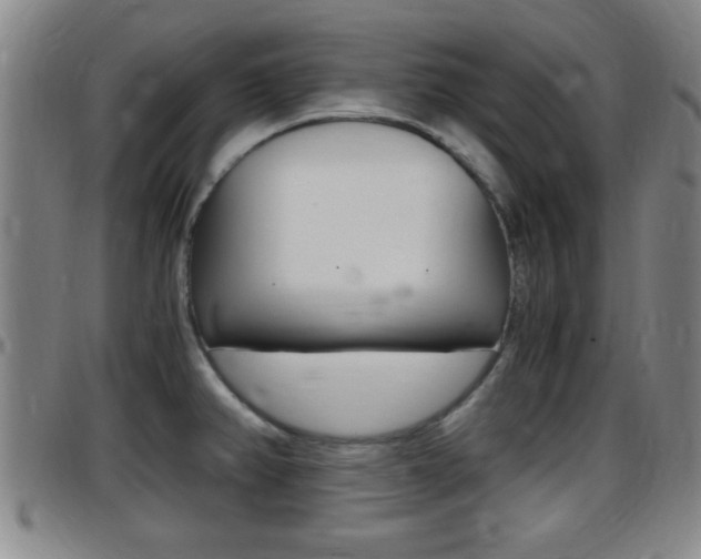X0000097881382200803140932