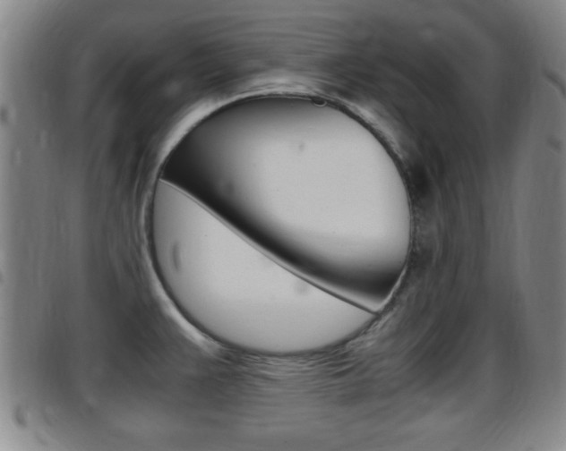 X0000097881383200803140932