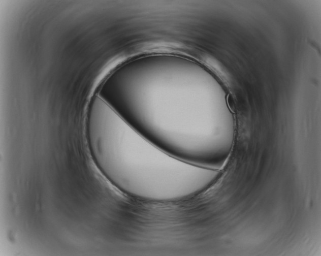 X0000097881384200803140932