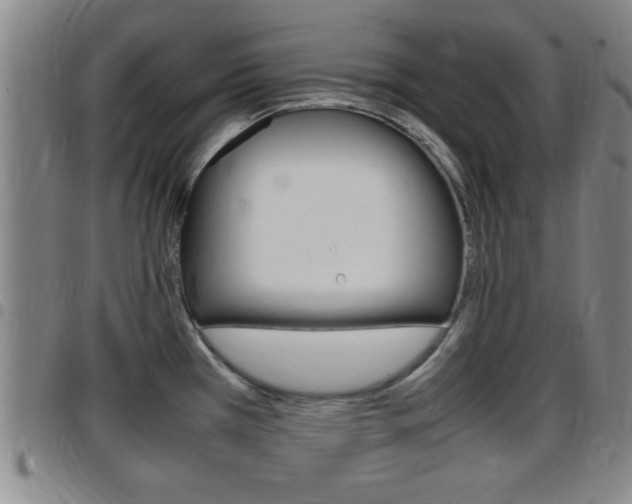 X0000097881385200803140932