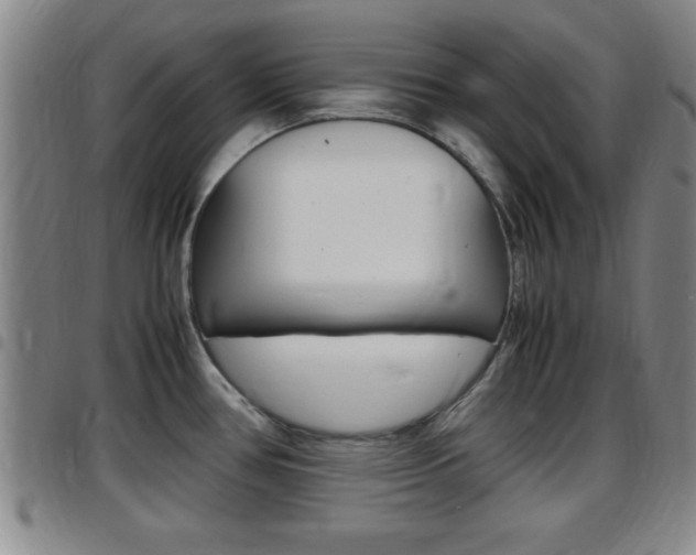 X0000097881386200803140932