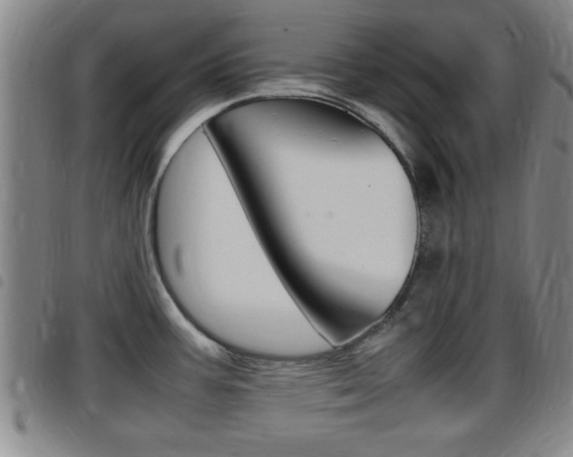 X0000097881387200803140932