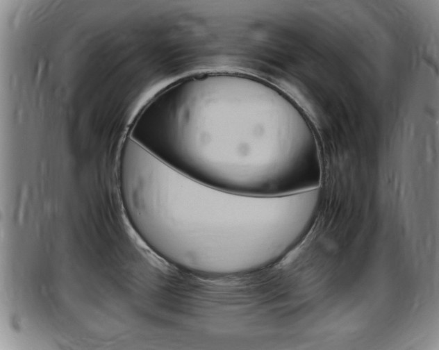 X0000097881388200803140932