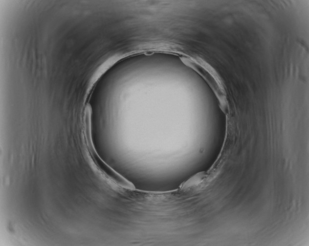 X0000097881389200803140932