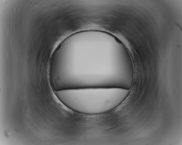 X0000097881390200803140932