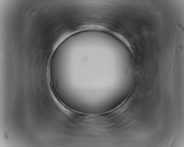 X0000097881391200803140932