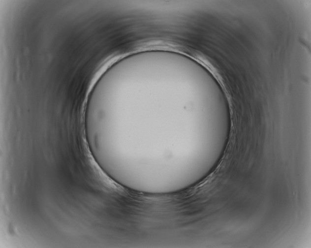 X0000097881392200803140932