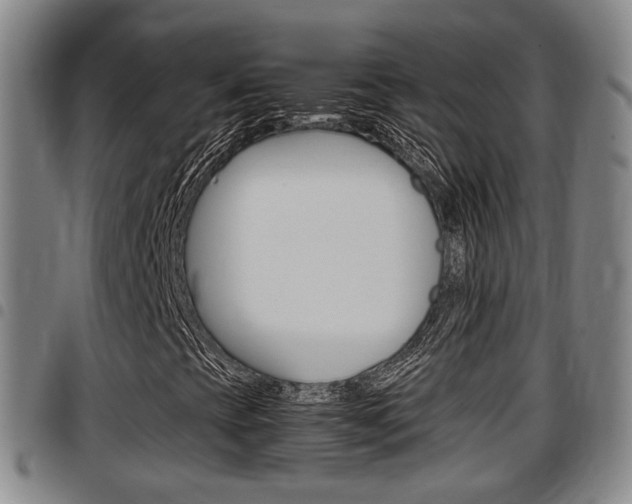 X0000097881393200803140932