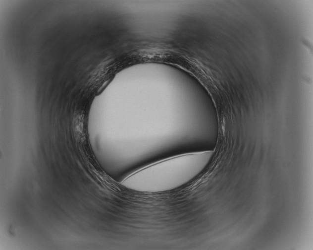 X0000097881396200803140932