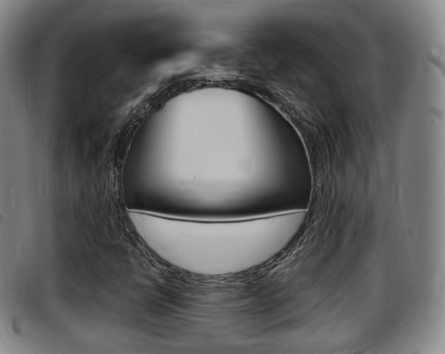 X0000097881398200803140932