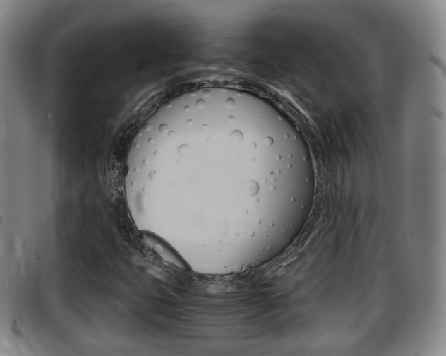 X0000097881399200803140932