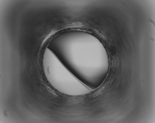 X0000097881400200803140932