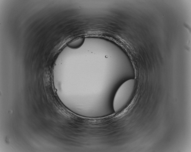 X0000097881401200803140932
