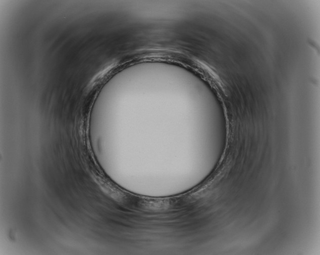 X0000097881403200803140932