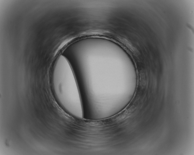 X0000097881404200803140932