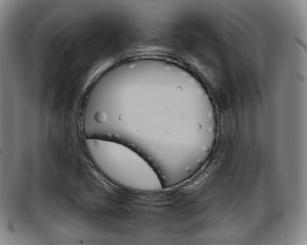 X0000097881405200803140932