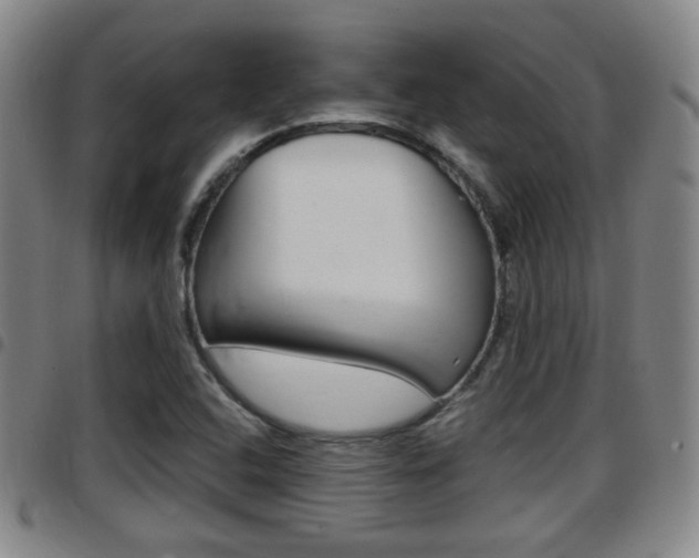 X0000097881408200803140932