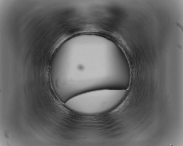 X0000097881409200803140932