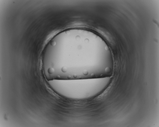 X0000097881413200803140932