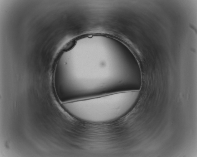 X0000097881416200803140932