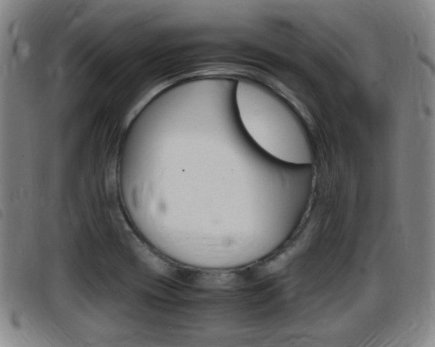 X0000097881417200803140932
