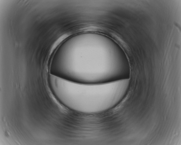X0000097881418200803140932