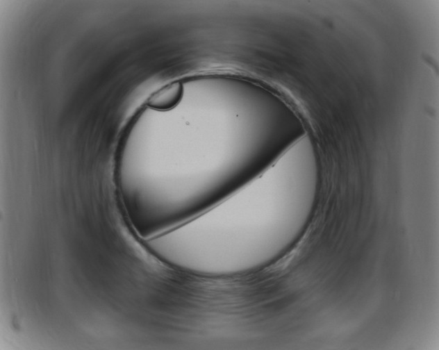 X0000097881422200803140932