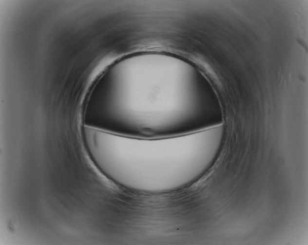 X0000097881424200803140932